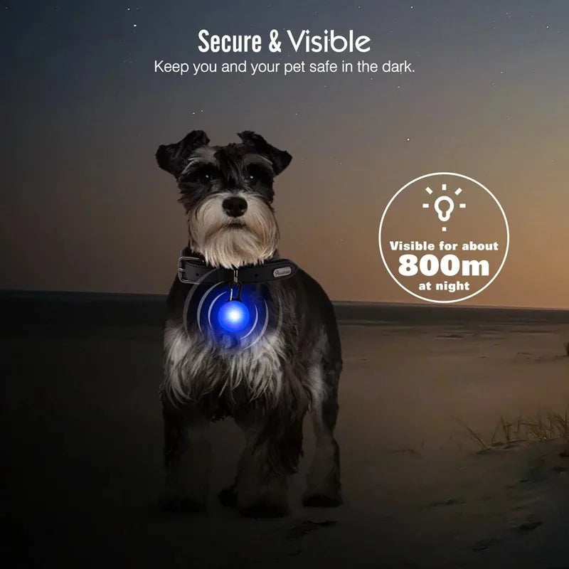 LED Glow Cat Collar Pendant – Night Safety Light for Cats & Dogs