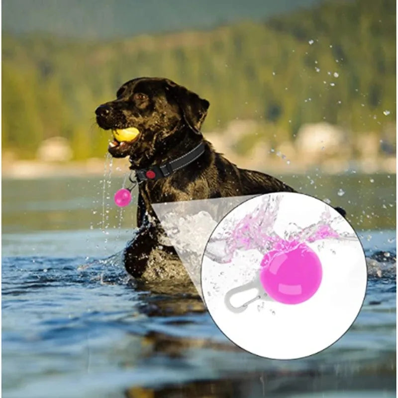 LED Glow Cat Collar Pendant – Night Safety Light for Cats & Dogs