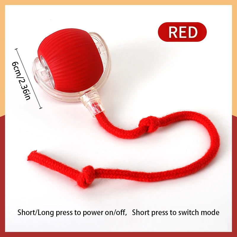 Smart Interactive Cat Toy Ball – USB Auto-Moving Bouncing Pet Toy