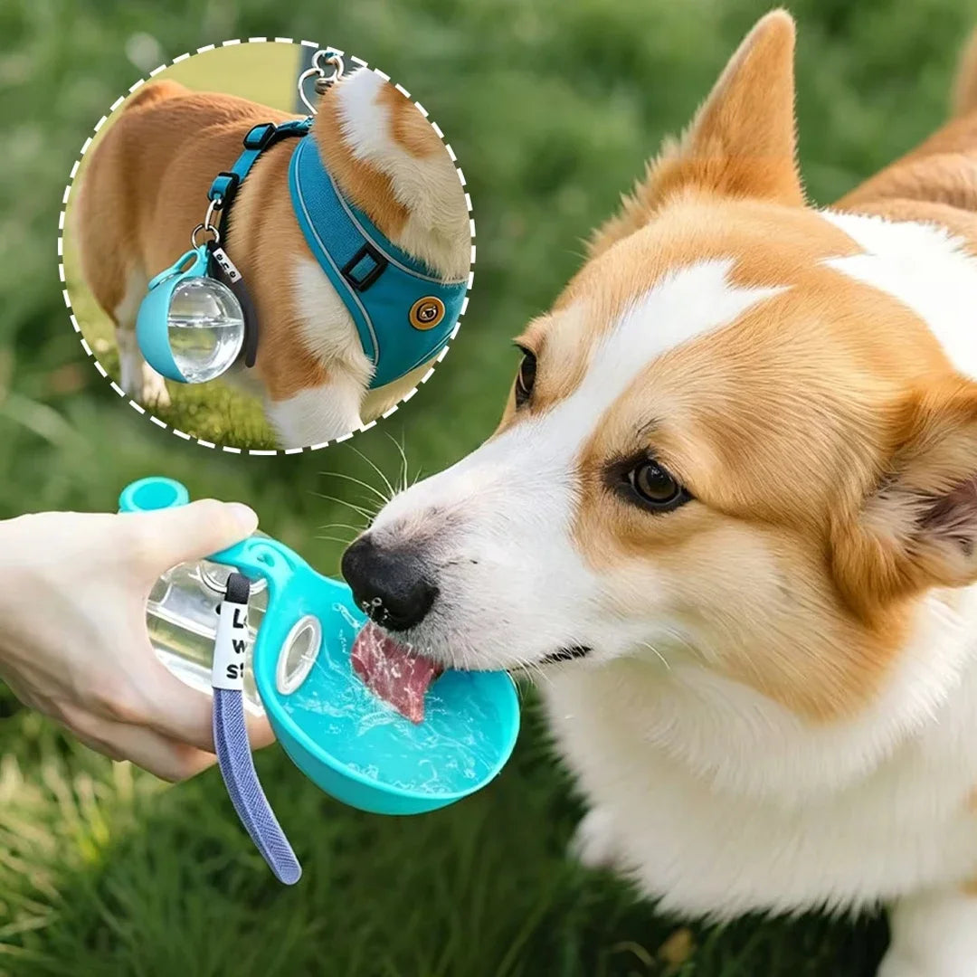 2-in-1 Dog Water Bottle with Collapsible Bowl – Perfect for Outdoor Adventures