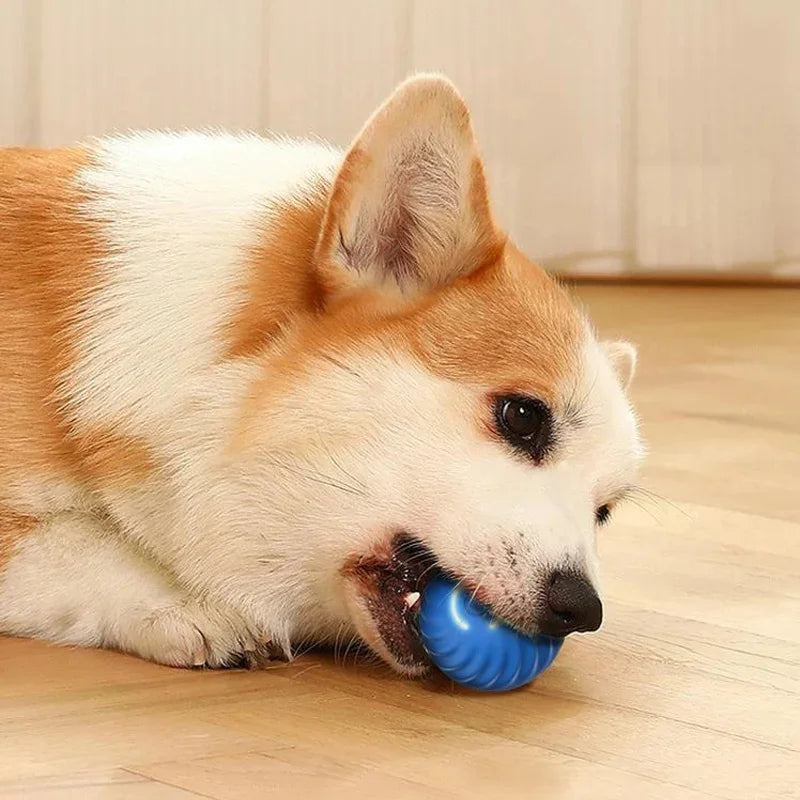 Smart Interactive Cat Toy Ball – USB Auto-Moving Bouncing Pet Toy