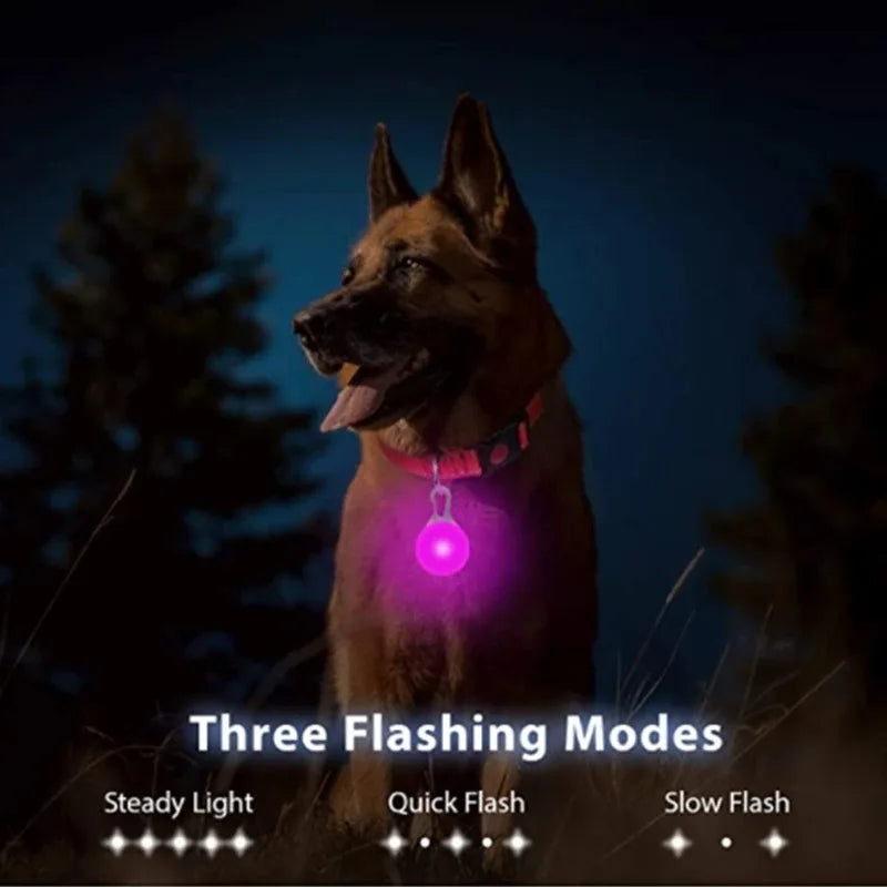 LED Glow Cat Collar Pendant – Night Safety Light for Cats & Dogs