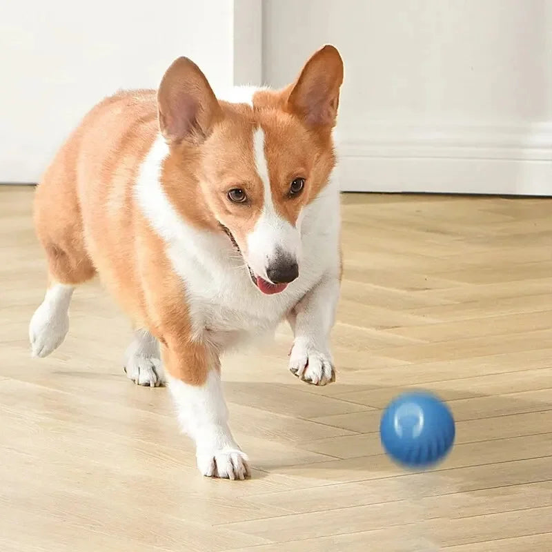 Smart Interactive Cat Toy Ball – USB Auto-Moving Bouncing Pet Toy