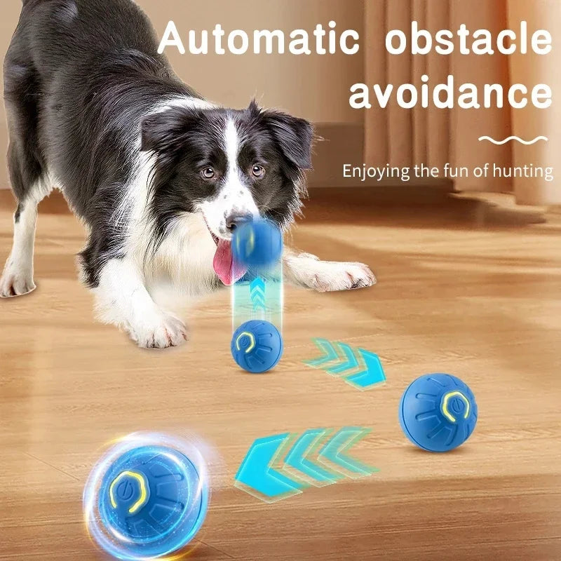 Smart Interactive Cat Toy Ball – USB Auto-Moving Bouncing Pet Toy
