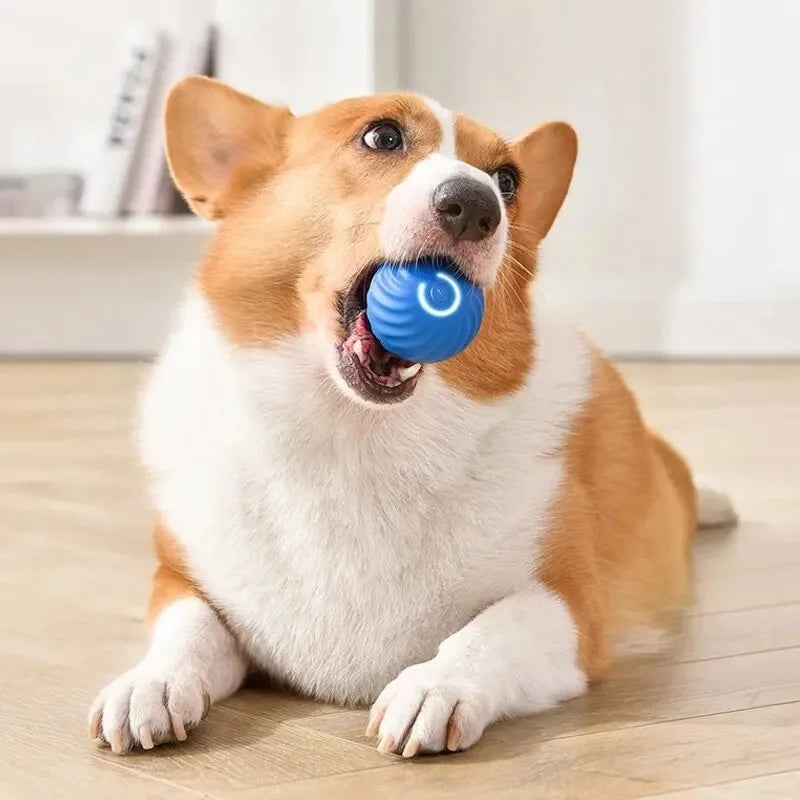 Smart Interactive Cat Toy Ball – USB Auto-Moving Bouncing Pet Toy