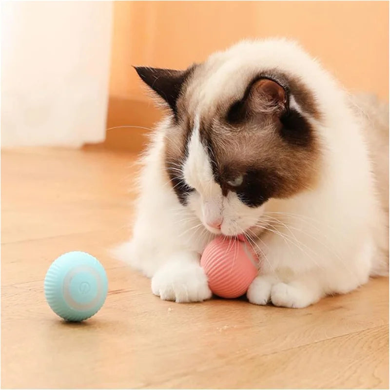 Smart Interactive Cat Toy Ball – USB Auto-Moving Bouncing Pet Toy