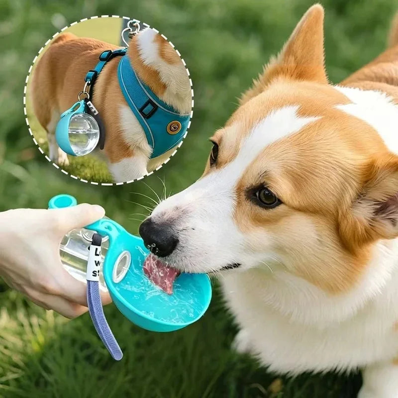 2-in-1 Dog Water Bottle with Collapsible Bowl – Perfect for Outdoor Adventures